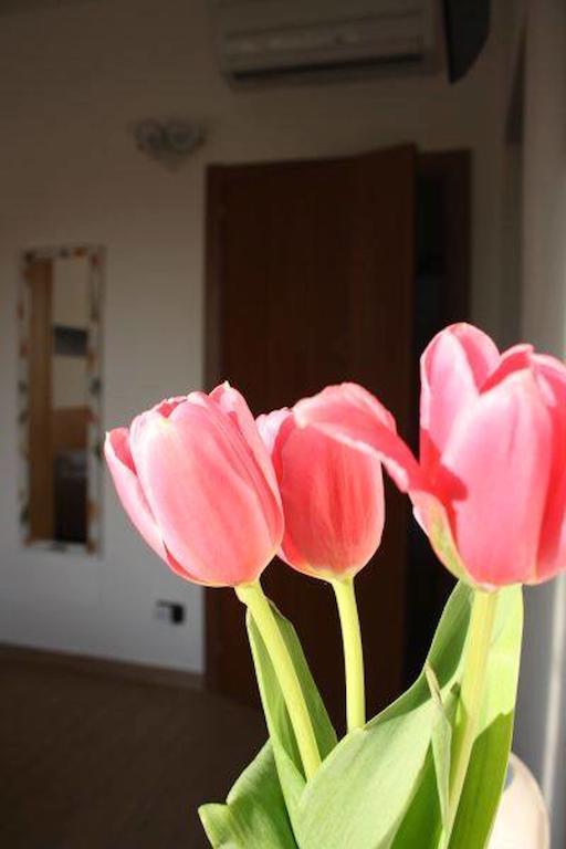 I Due Orfici Bed and Breakfast Cona  Eksteriør billede